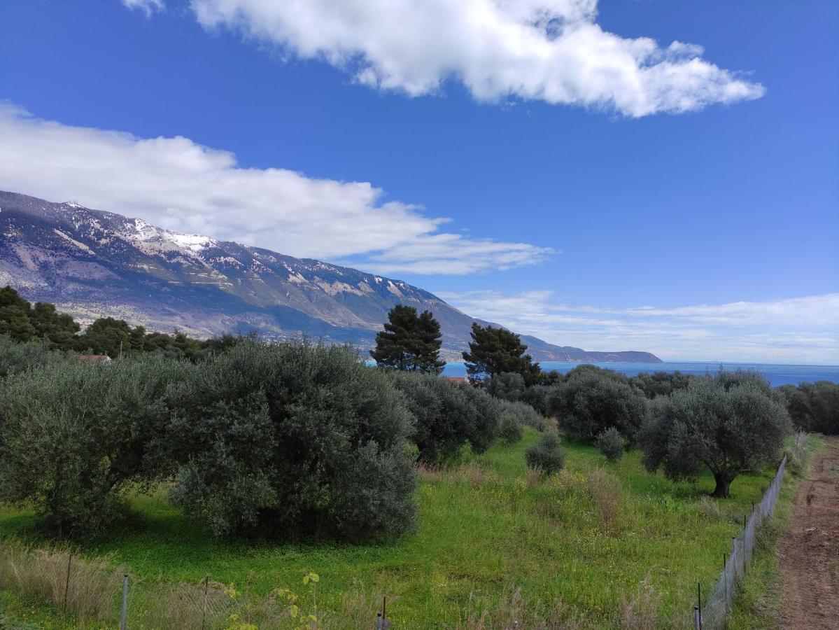 Villa Ruby Pessada Πεσάδα Εξωτερικό φωτογραφία
